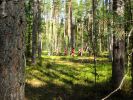 IMG_0008-2.jpg