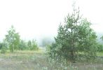 Файл=Zori.jpg
Объём=143КБ
Размеры=1130x768
Дата=Июль 09, 2006 Zori.jpg