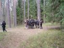 Файл=заград_отряд_орков_против_вульфов.JPG
Объём=146КБ
Размеры=768x576
Дата=Май 02, 2007 заград_отряд_орков_против_вульфов.JPG