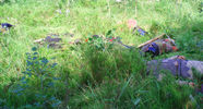 P1010045.JPG