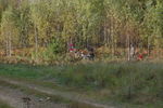 DSC_6847.JPG