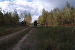 DSC_6894.JPG