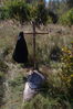 DSC_6972.JPG