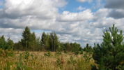 IMG_2296.JPG