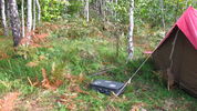 Файл=IMG_2314.JPG
Объём=1486КБ
Размеры=3264x1832
Дата=Сент 20, 2011 IMG_2314.JPG