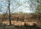 Файл=Красноармейцы_на_привале.jpg
Объём=228КБ
Размеры=712x504
Дата=Май 16, 2006 Красноармейцы_на_привале.jpg