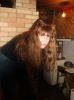 DSC01950.JPG