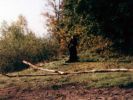 Файл=20.jpg
Объём=42КБ
Размеры=533x400
Дата=Окт 29, 2004 20.jpg